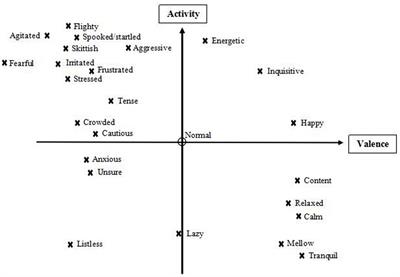 Qualitative Behavioral Assessment in Juvenile Farmed Atlantic Salmon (Salmo salar): Potential for On-Farm Welfare Assessment